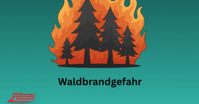 🚨 Hohe Waldbrandgefahr in Hessen! 🌲🔥